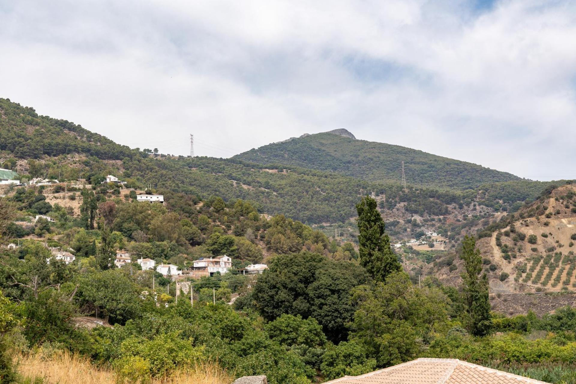 Malagasuite Cortijo Robles Casarabonela Εξωτερικό φωτογραφία