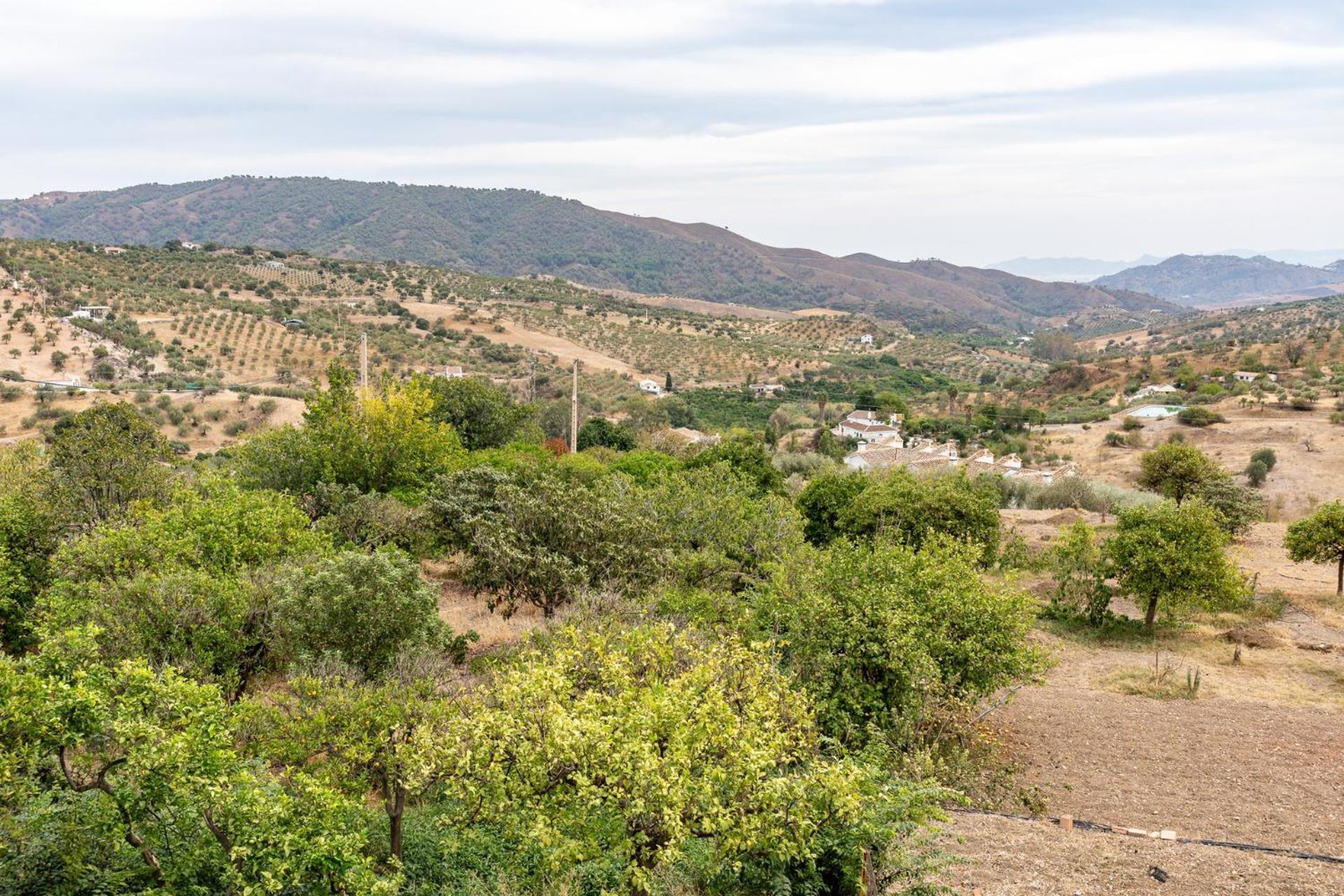 Malagasuite Cortijo Robles Casarabonela Εξωτερικό φωτογραφία