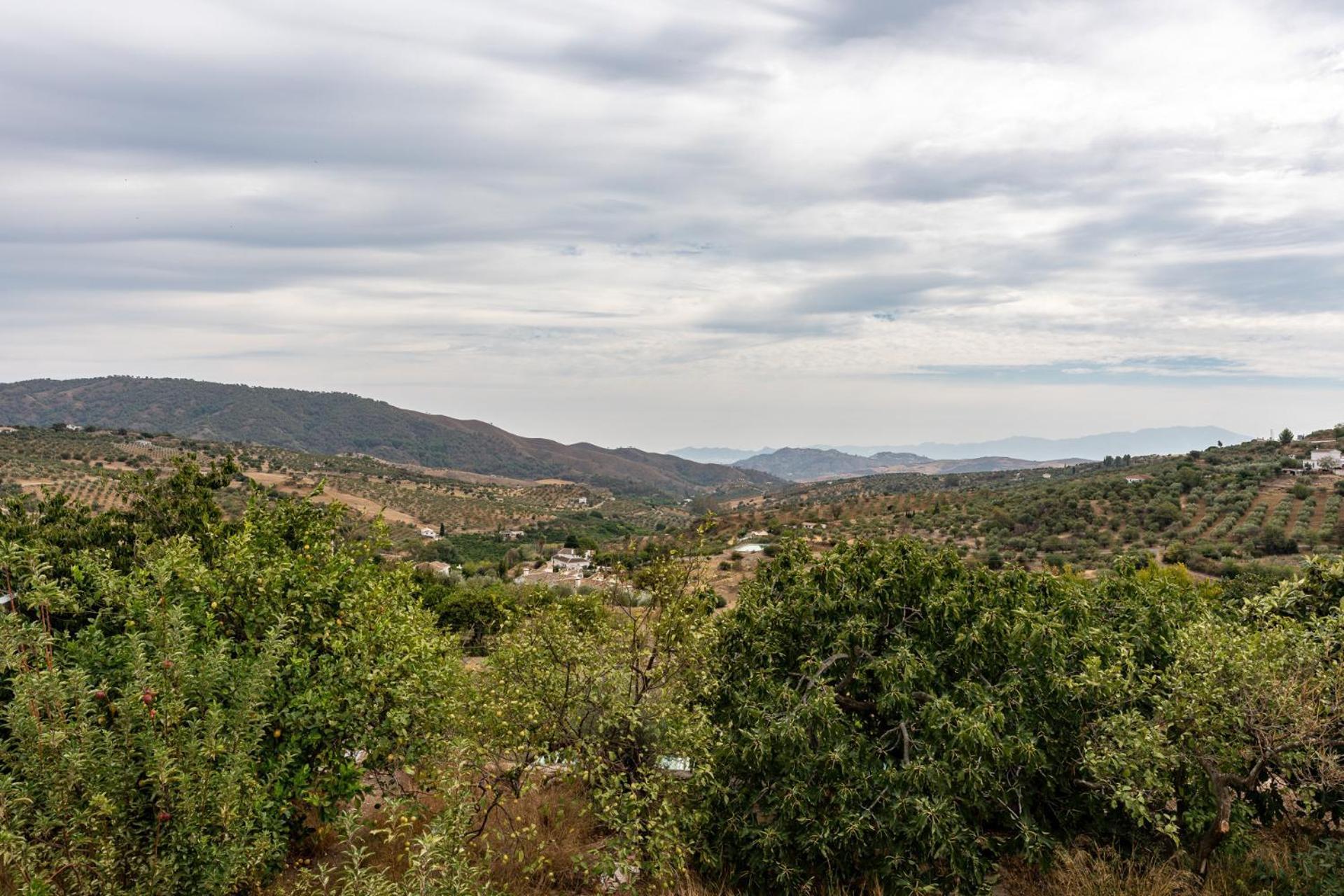 Malagasuite Cortijo Robles Casarabonela Εξωτερικό φωτογραφία