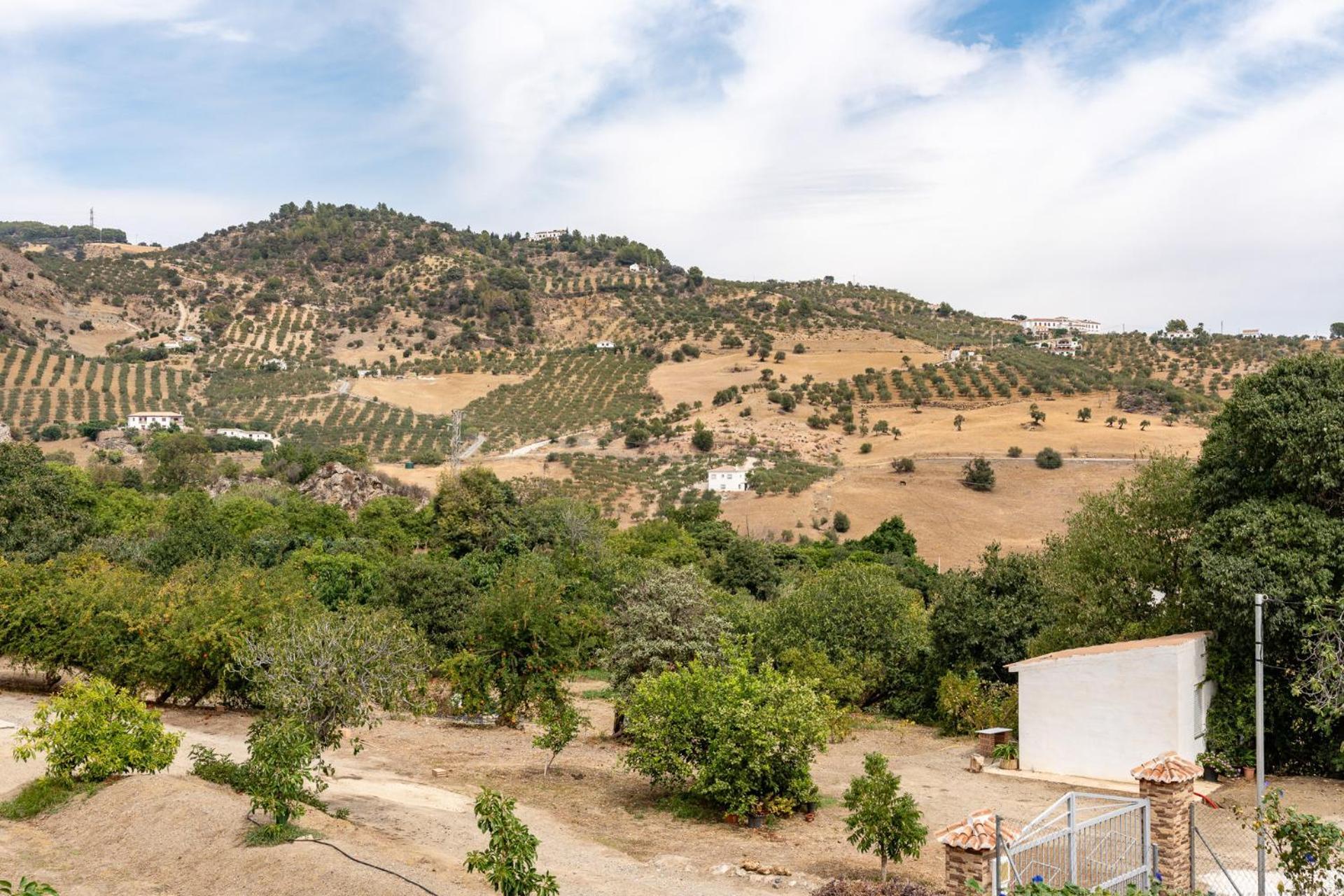 Malagasuite Cortijo Robles Casarabonela Εξωτερικό φωτογραφία